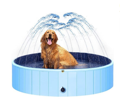 Faltbarer Planschpool für Hunde – ideal zum Baden und Abkühlen